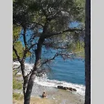 El Poblet 36 Denia