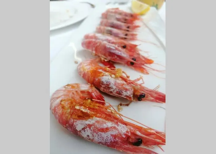 Nyaraló El Poblet 36