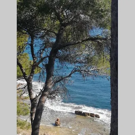 El Poblet 36 Denia