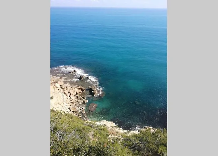 El Poblet 36 * 德尼亚