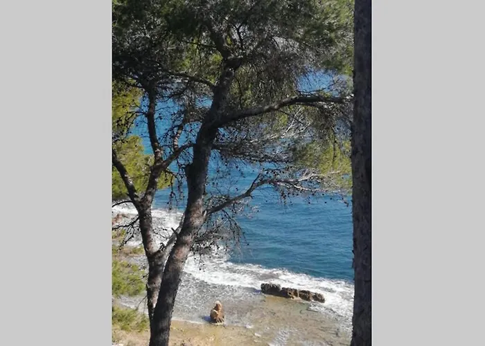 El Poblet 36 德尼亚