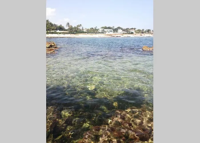 度假居 El Poblet 36 德尼亚